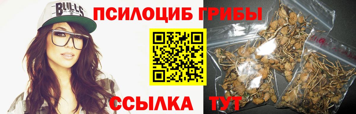 Ноябрьск  Псилоцибиновые грибы ЛСД  дарнет шоп  Вход с VPN 