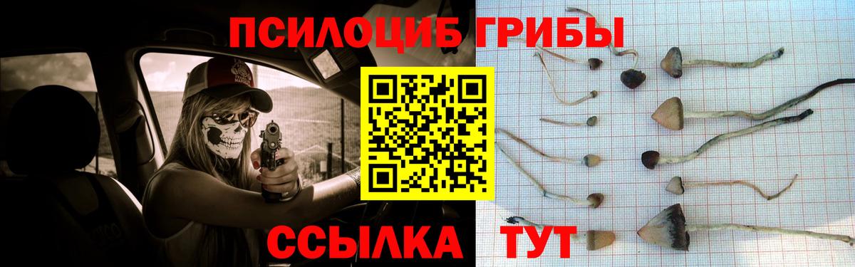 Псилоцибиновые грибы прущие грибы Ноябрьск