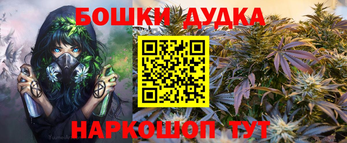 Каннабис сатива Ноябрьск